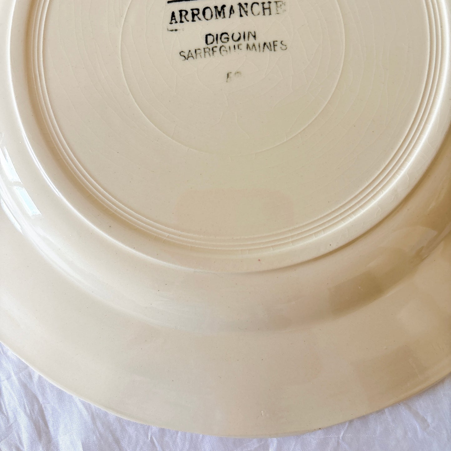 ディゴワンサルグミンヌ 『ARROMANCHES （アロマンシュ）』花リム ディナープレート　フランスアンティーク食器