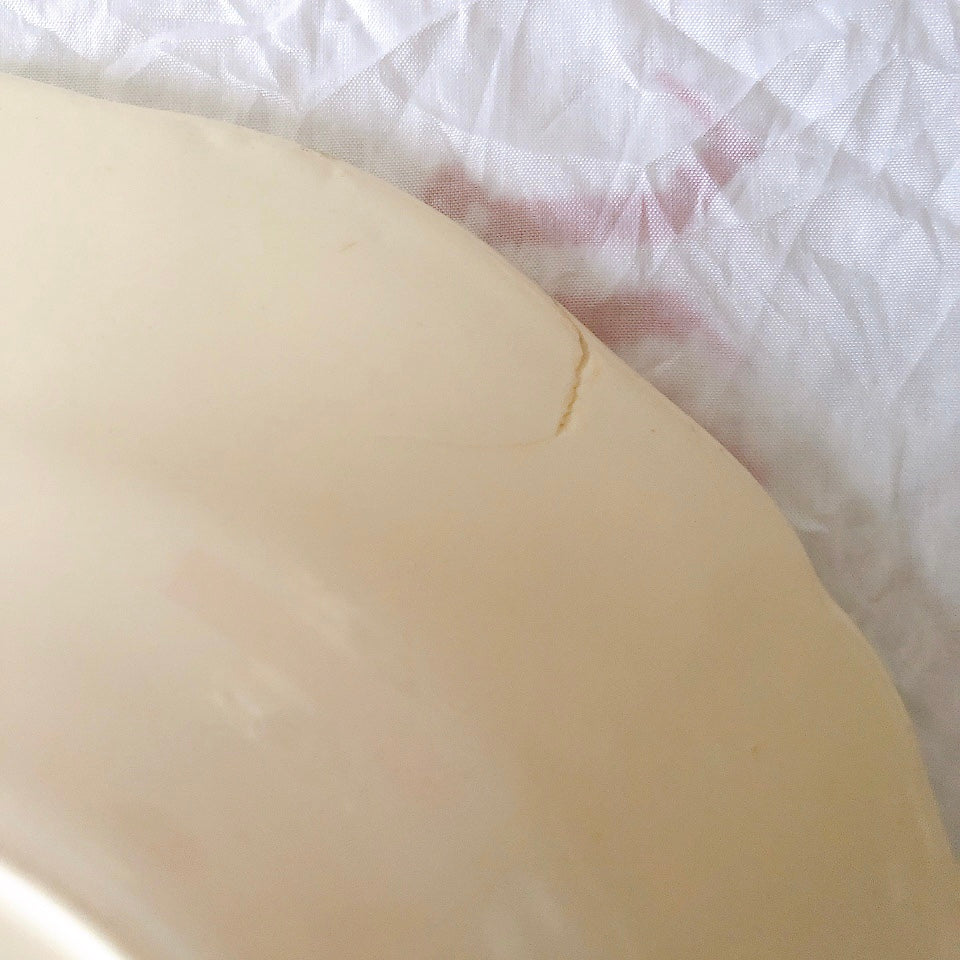 ディゴワンサルグミンヌ Digoin＆sarreguemines アグレスト 深皿 クルーズプレート 23㎝ フランスアンティーク食器 フランス蚤の市・ブロカント