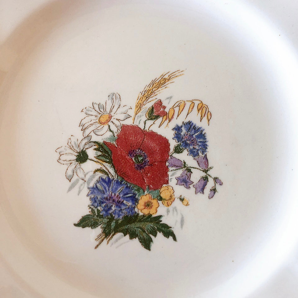 フランス サルグミンヌ sarreguemines アグレスト デザートプレート 20.7㎝  フランスアンティーク食器 フランス蚤の市・ブロカント