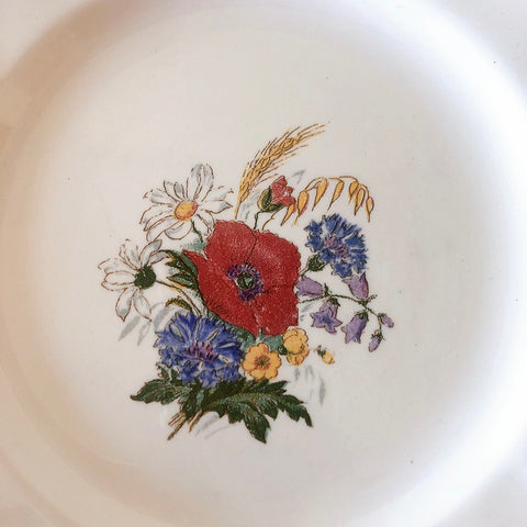 フランス サルグミンヌ sarreguemines アグレスト デザートプレート 20.7㎝  フランスアンティーク食器 フランス蚤の市・ブロカント