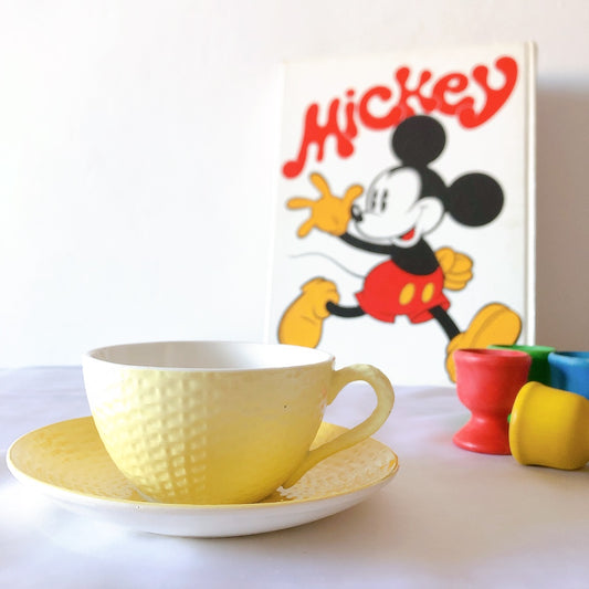 ディゴワンサルグミンヌ ショコラカップアンドソーサー レモンカラー フランスアンティーク食器 ブロカントアンティーク 蚤の市