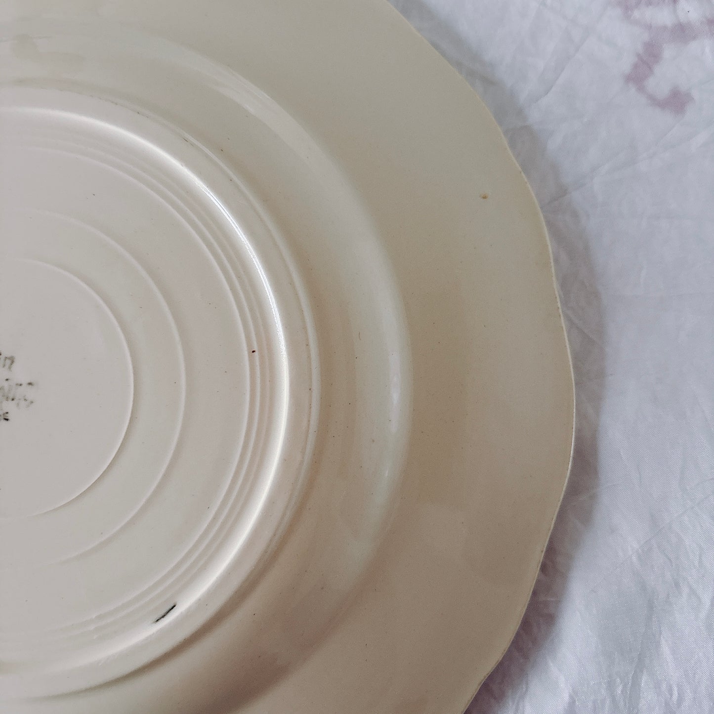 フランス ディゴワン＆サルグミンヌ 花リム ディナープレート 平皿 フランスアンティーク食器 ブロカント　蚤の市