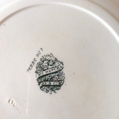 ヴィエイヤーボルドー ディナープレート／平皿 DATURA　ボタニカル模様 フランスアンティーク食器 ブロカントアンティーク　蚤の市