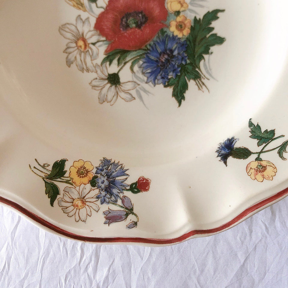 ディゴワンサルグミンヌ Digoin＆sarreguemines アグレスト 深皿 クルーズプレート 23㎝ フランスアンティーク食器 フランス蚤の市・ブロカント