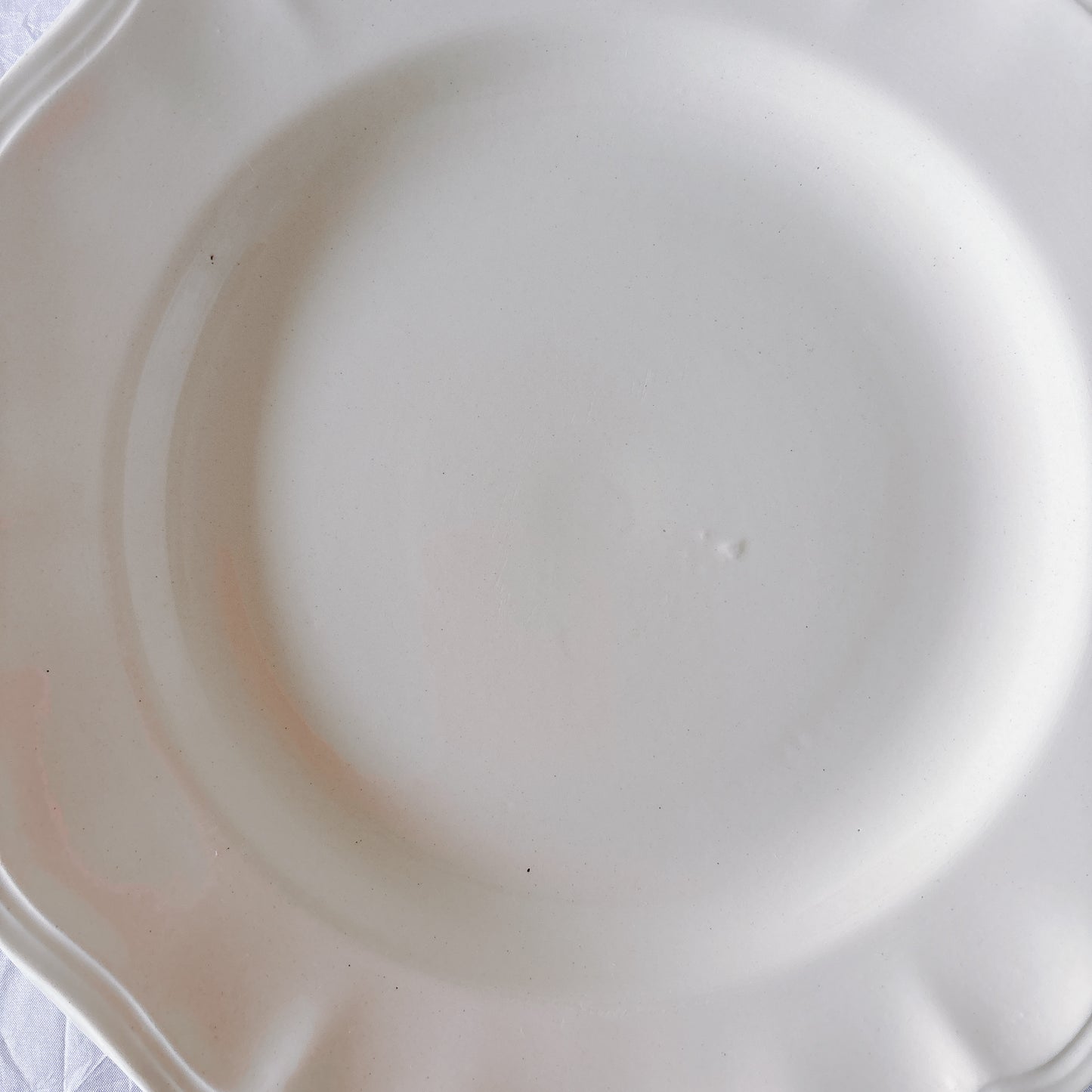 フランス ディゴワン＆サルグミンヌ 花リム ディナープレート 平皿 フランスアンティーク食器 ブロカント　蚤の市