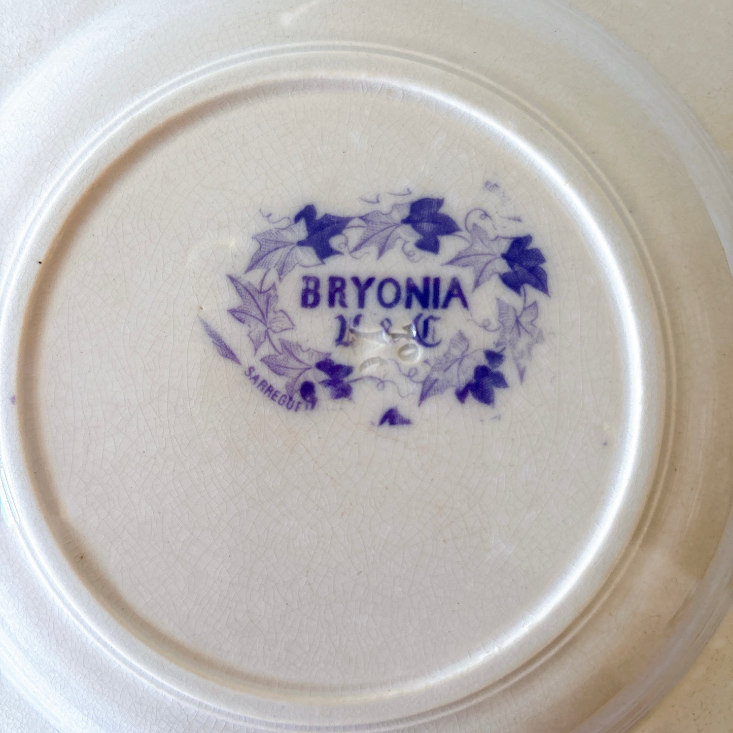 フランスアンティーク U&Cサルグミンヌ Bryonia ブリオニア スーププレート　ブロカント　蚤の市