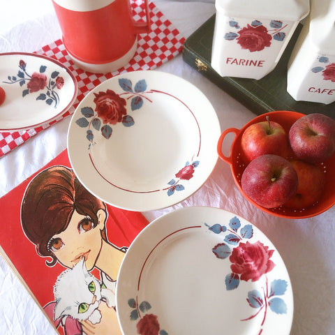 フランスアンティーク　バドンヴィレー　バラ柄スーププレート　深皿　フランスアンティーク食器 ブロカントアンティーク 蚤の市