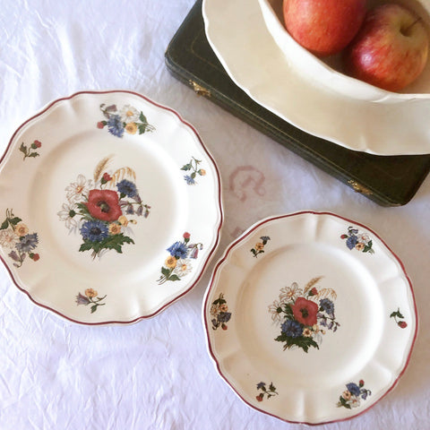 フランス サルグミンヌ sarreguemines アグレスト ディナープレート 23.3㎝  フランスアンティーク食器 フランス蚤の市・ブロカント