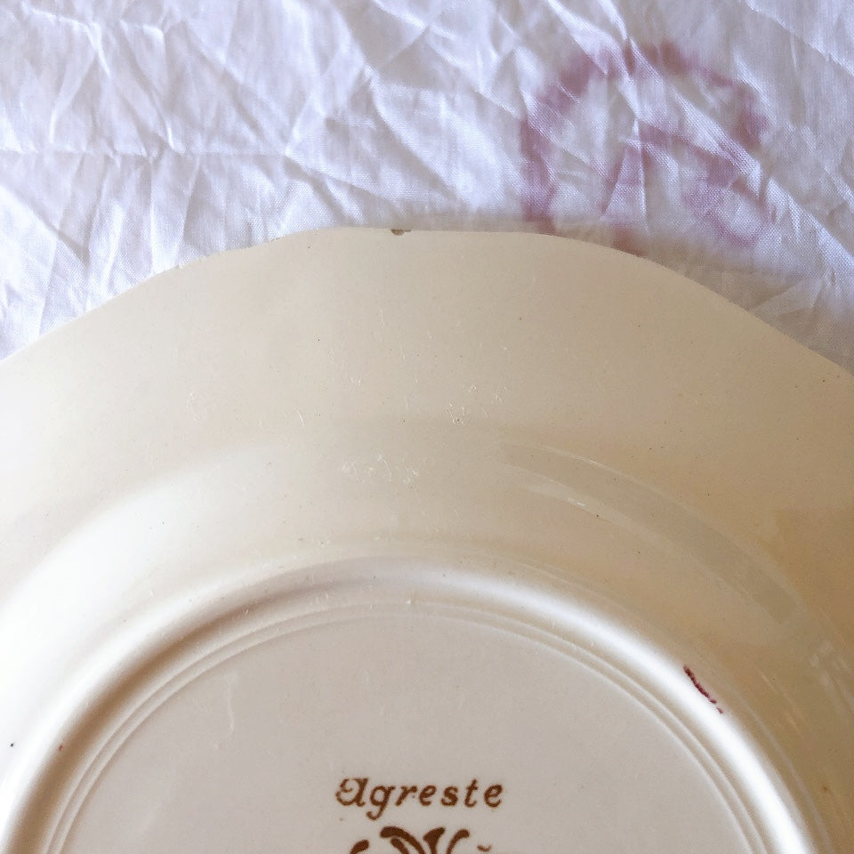 フランス サルグミンヌ sarreguemines アグレスト デザートプレート 20.7㎝  フランスアンティーク食器 フランス蚤の市・ブロカント