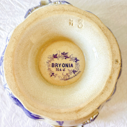 フランスアンティーク U&Cサルグミンヌ Bryonia ブリオニア スープチューリーン（スーピエール）