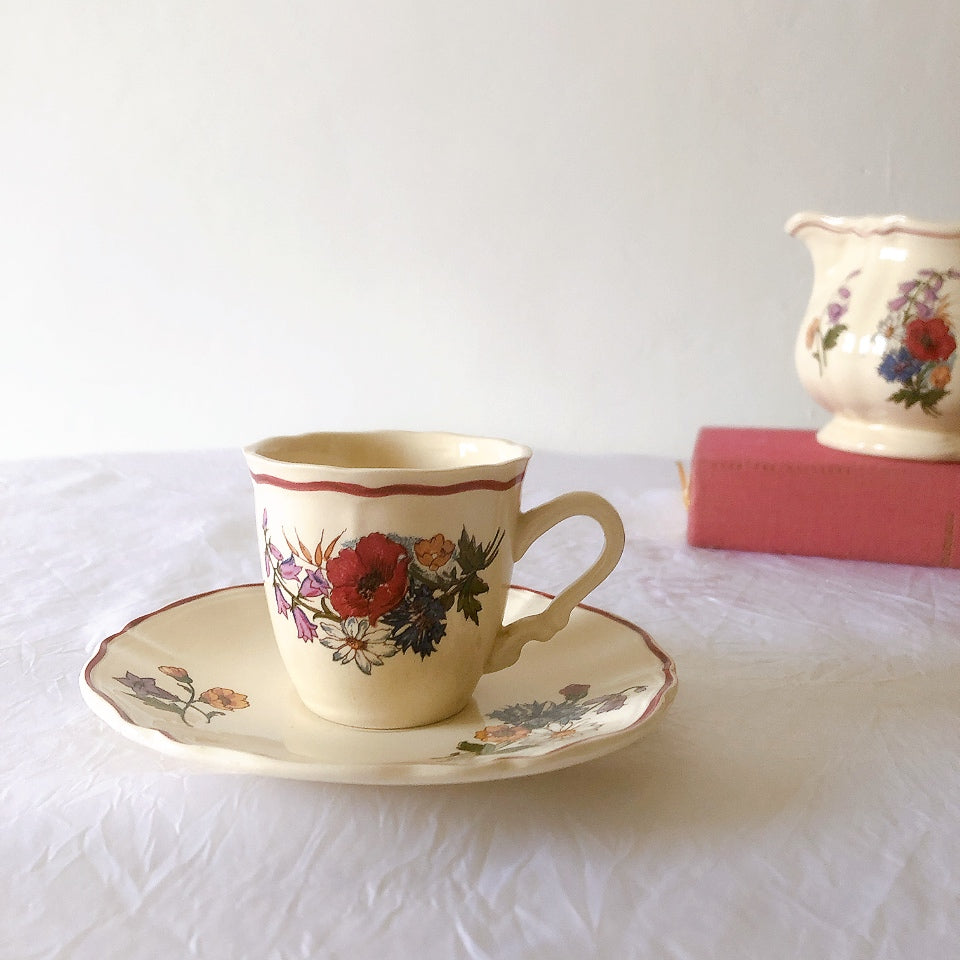 ディゴワンサルグミンヌ Digoin＆sarreguemines アグレスト コーヒーカップ＆ソーサー２客セット フランスアンティーク食器 フランス蚤の市・ブロカント