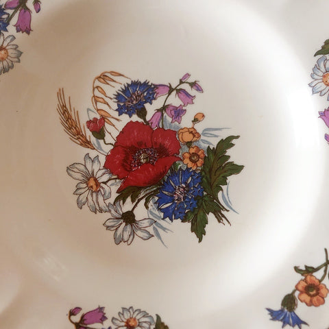 ディゴワンサルグミンヌ Digoin＆sarreguemines アグレスト 深皿 クルーズプレート 23㎝ フランスアンティーク食器 フランス蚤の市・ブロカント