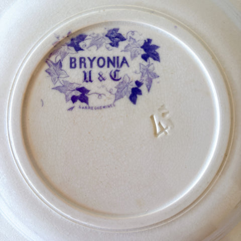 フランスアンティーク U&Cサルグミンヌ Bryonia ブリオニア スーププレート　ブロカント　蚤の市