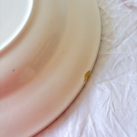 フランスアンティーク ディゴワンサルグミンヌ MARY LOU マリールー デザートプレート 花柄 Digoin Sarreguemines アンティーク食器