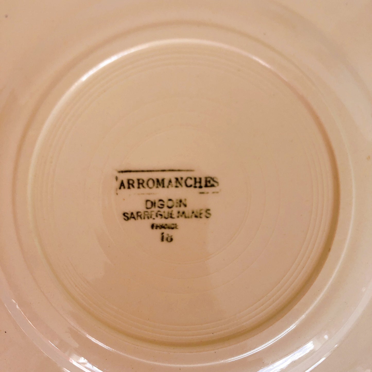 ディゴワンサルグミンヌ 花リム 『ARROMANCHES』 シリーズ　ディナープレート　平皿 F フランスアンティーク食器　蚤の市　ブロカント