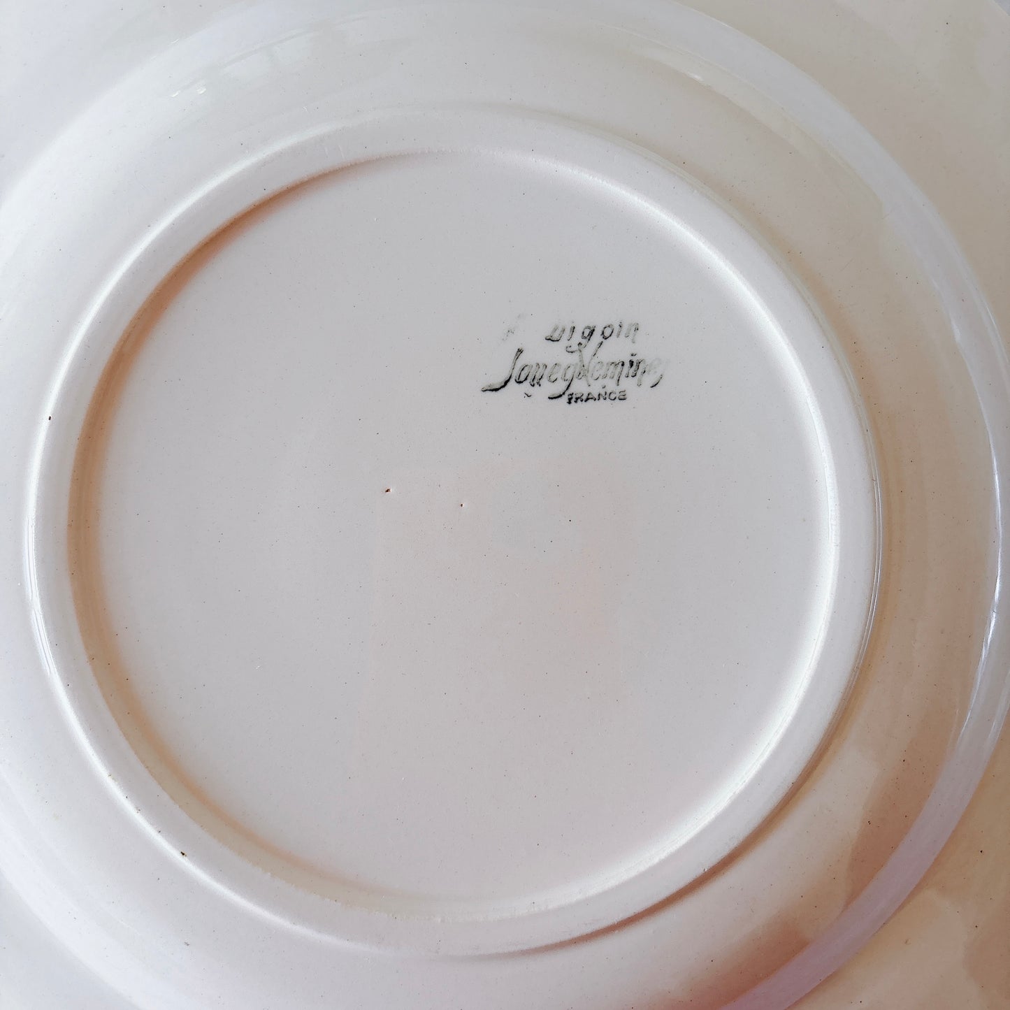フランス ディゴワン＆サルグミンヌ 花リム スーププレート 深皿 フランスアンティーク食器 ブロカント　蚤の市