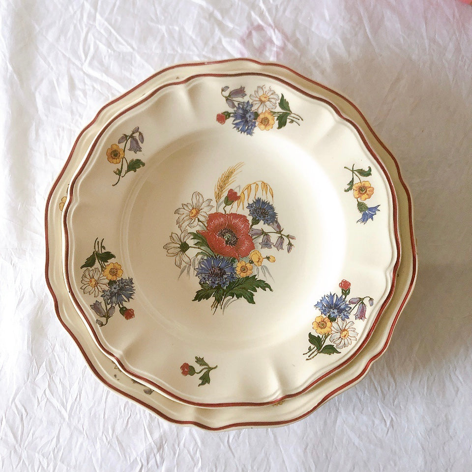 ディゴワンサルグミンヌ Digoin＆sarreguemines アグレスト 深皿 クルーズプレート 23㎝ フランスアンティーク食器 フランス蚤の市・ブロカント