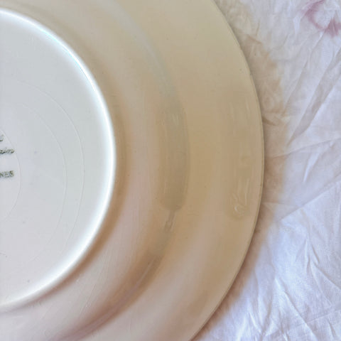 フランスアンティーク ディゴワンサルグミンヌ MARY LOU マリールー デザートプレート 花柄 Digoin Sarreguemines アンティーク食器