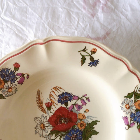 ディゴワンサルグミンヌ Digoin＆sarreguemines アグレスト 深皿 クルーズプレート 23㎝ フランスアンティーク食器 フランス蚤の市・ブロカント