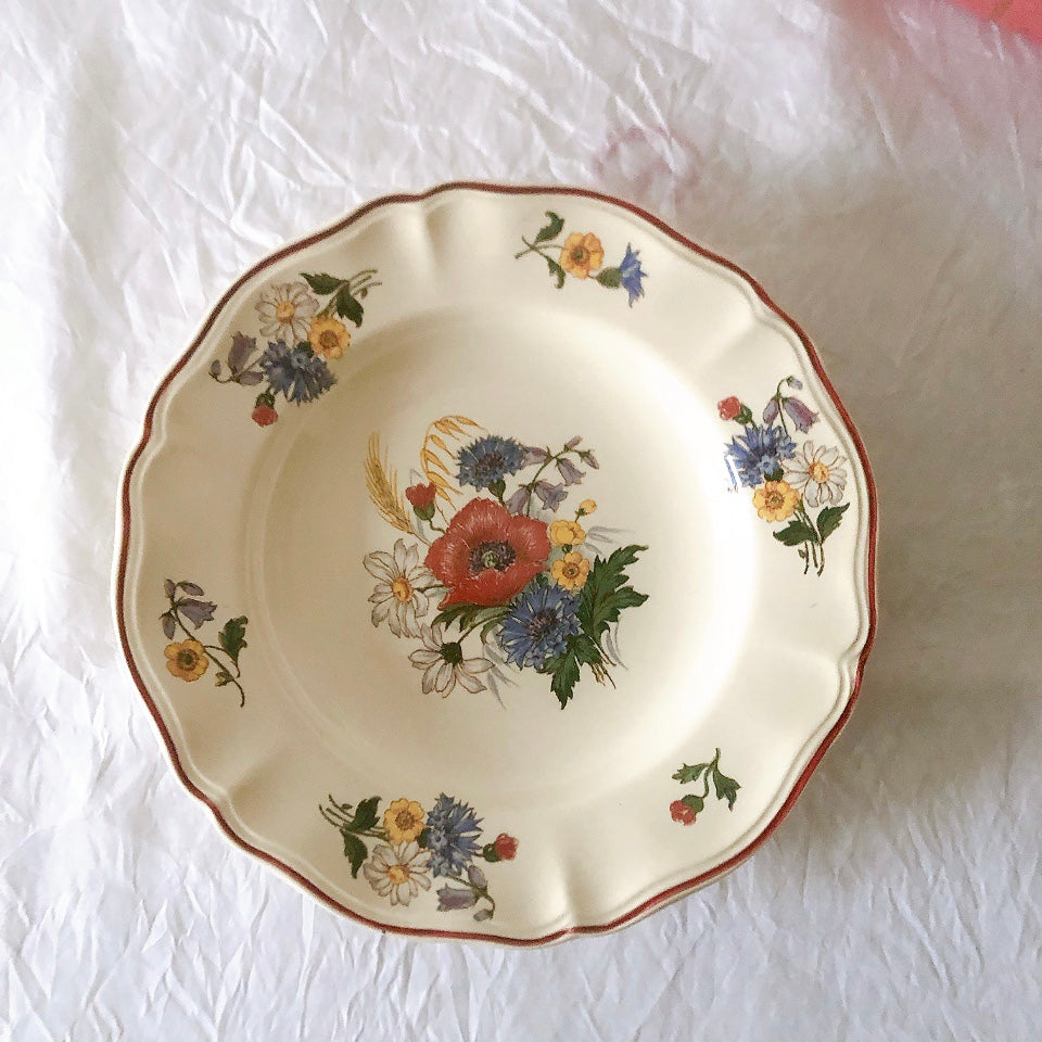 ディゴワンサルグミンヌ Digoin＆sarreguemines アグレスト 深皿 クルーズプレート 23㎝ フランスアンティーク食器 フランス蚤の市・ブロカント