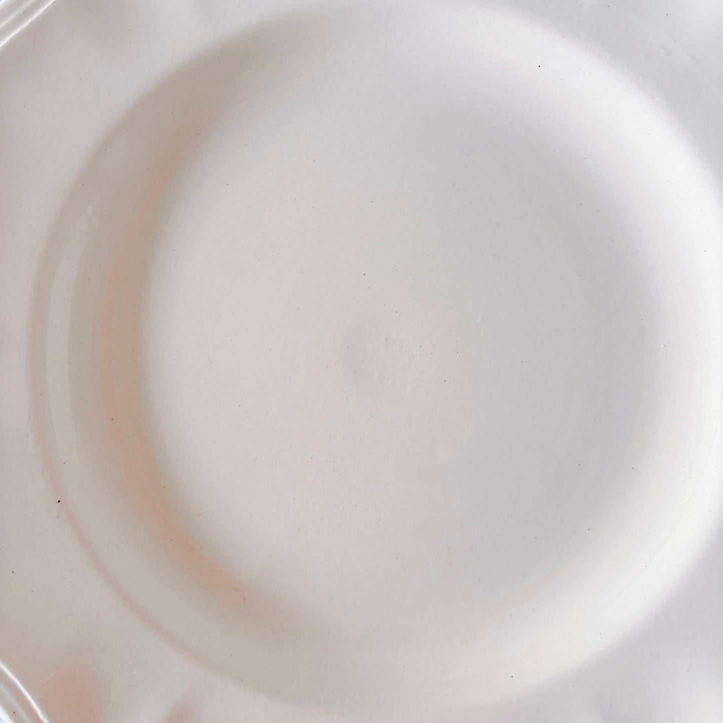 フランス ディゴワン＆サルグミンヌ 花リム ディナープレート 平皿 フランスアンティーク食器 ブロカント　蚤の市