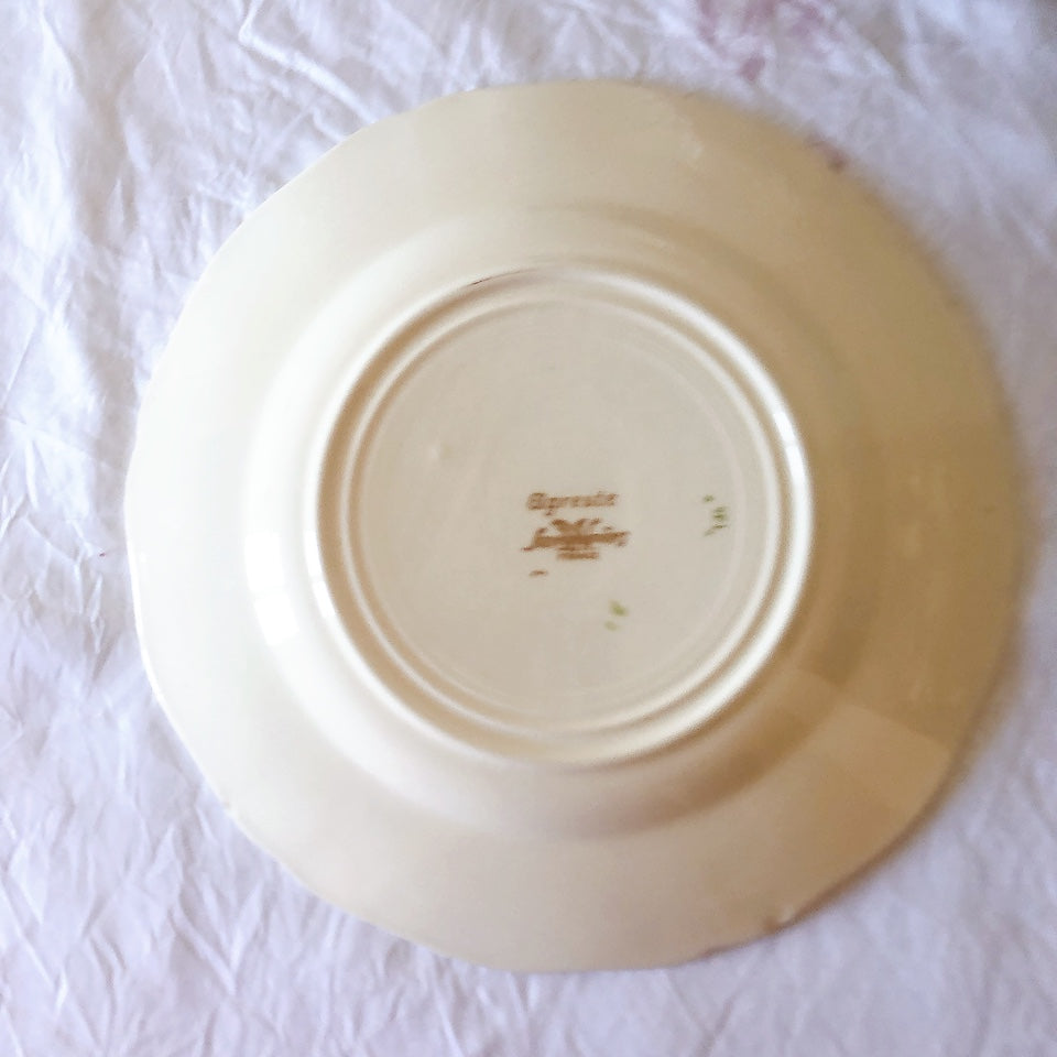 フランス サルグミンヌ sarreguemines アグレスト ディナープレート 23.3㎝  フランスアンティーク食器 フランス蚤の市・ブロカント