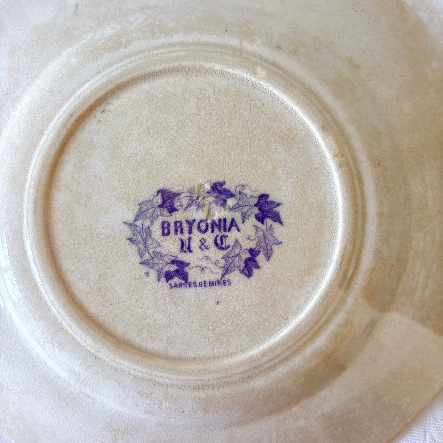 フランスアンティーク U&Cサルグミンヌ Bryonia ブリオニア デザートプレート　ブロカント　蚤の市