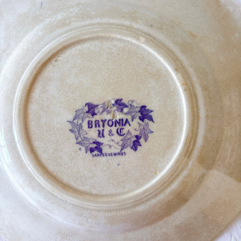 フランスアンティーク U&Cサルグミンヌ Bryonia ブリオニア デザートプレート　ブロカント　蚤の市