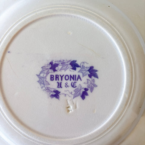 フランスアンティーク U&Cサルグミンヌ Bryonia ブリオニア ディナープレート　ブロカント　蚤の市