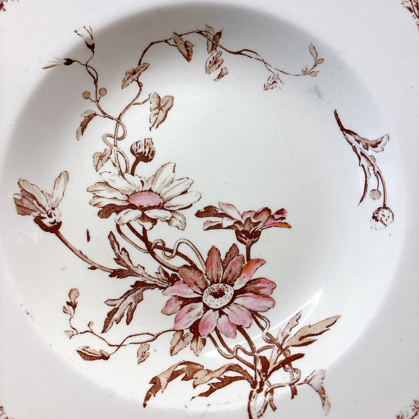 リュネヴィル  マーガレット MARGUERITE スーププレート フランスアンティーク食器　蚤の市　ブロカント