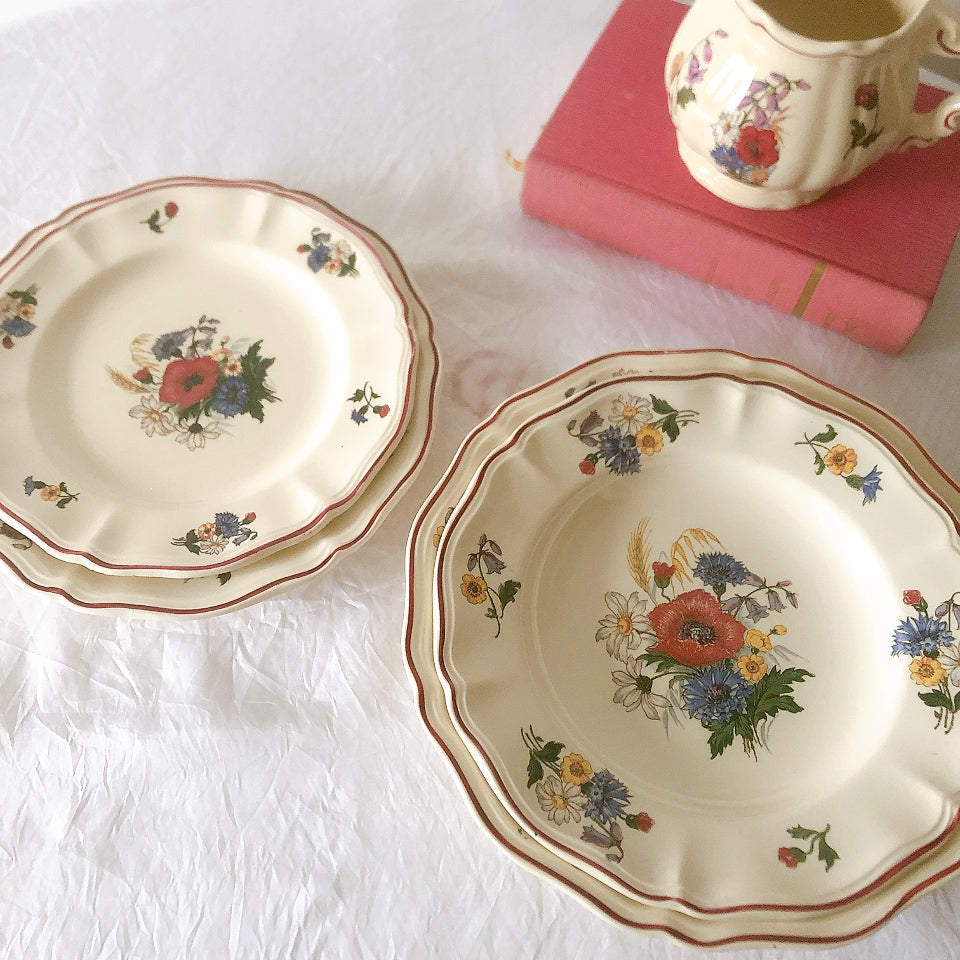 ディゴワンサルグミンヌ Digoin＆sarreguemines アグレスト 深皿 クルーズプレート 23㎝ フランスアンティーク食器 フランス蚤の市・ブロカント