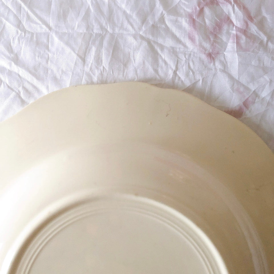 ディゴワンサルグミンヌ Digoin＆sarreguemines アグレスト 深皿 クルーズプレート 23㎝ フランスアンティーク食器 フランス蚤の市・ブロカント