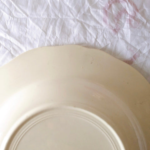 ディゴワンサルグミンヌ Digoin＆sarreguemines アグレスト 深皿 クルーズプレート 23㎝ フランスアンティーク食器 フランス蚤の市・ブロカント