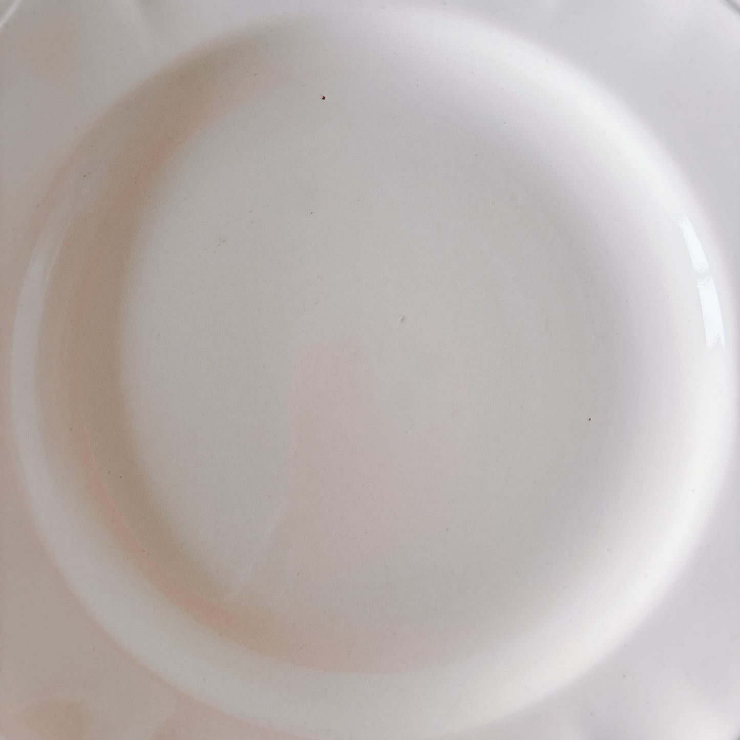 フランス ディゴワン＆サルグミンヌ 花リム ディナープレート 平皿 フランスアンティーク食器 ブロカント　蚤の市