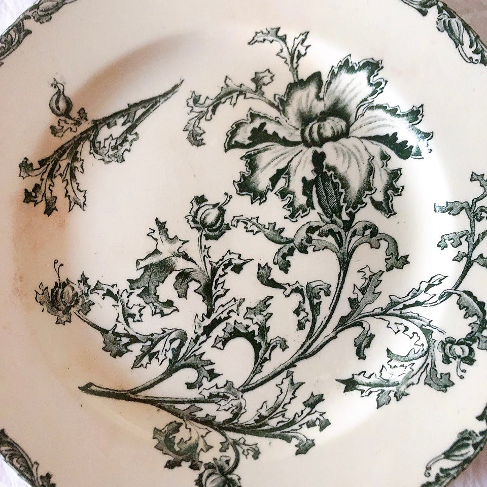 ヴィエイヤーボルドー ディナープレート／平皿 DATURA　ボタニカル模様 フランスアンティーク食器 ブロカントアンティーク　蚤の市