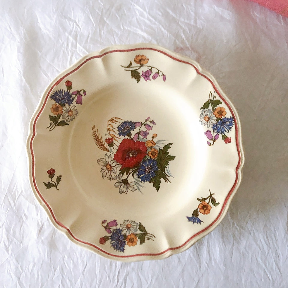 ディゴワンサルグミンヌ Digoin＆sarreguemines アグレスト 深皿 クルーズプレート 23㎝ フランスアンティーク食器 フランス蚤の市・ブロカント