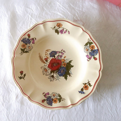 ディゴワンサルグミンヌ Digoin＆sarreguemines アグレスト 深皿 クルーズプレート 23㎝ フランスアンティーク食器 フランス蚤の市・ブロカント