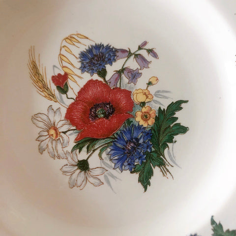 ディゴワンサルグミンヌ Digoin＆sarreguemines アグレスト 深皿 クルーズプレート 23㎝ フランスアンティーク食器 フランス蚤の市・ブロカント