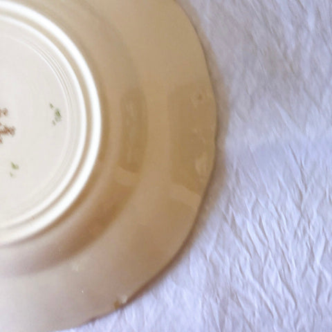 フランス サルグミンヌ sarreguemines アグレスト ディナープレート 23.3㎝  フランスアンティーク食器 フランス蚤の市・ブロカント