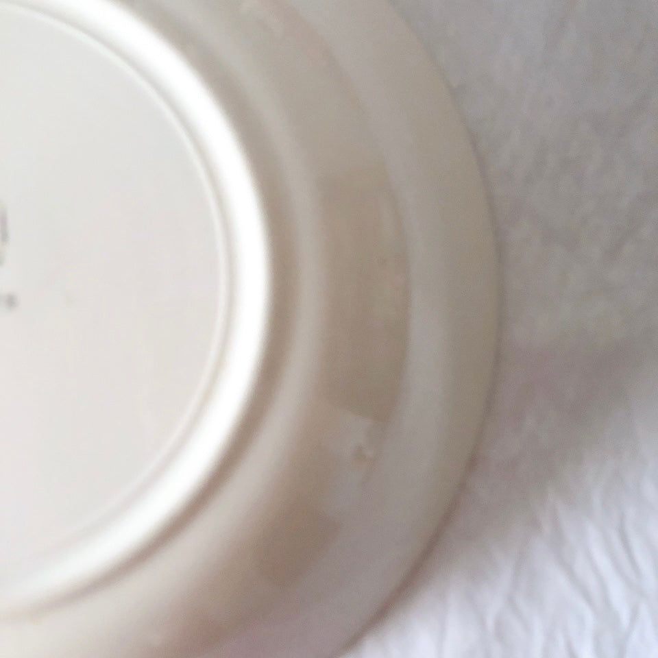 ディゴワンサルグミンヌ 『DAUPHIN 』 花柄キャロットプレート・深皿 フランスアンティーク食器　ブロカントアンティーク　蚤の市