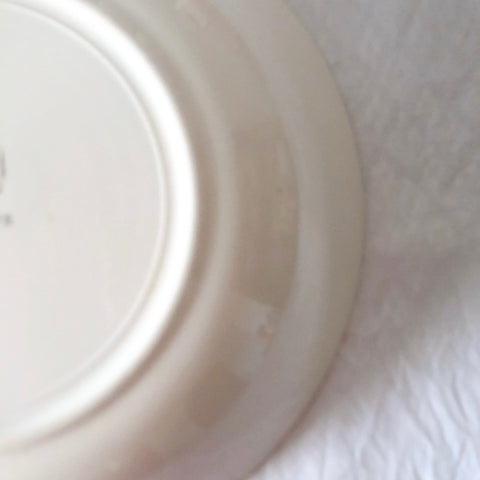 ディゴワンサルグミンヌ 『DAUPHIN 』 花柄キャロットプレート・深皿 フランスアンティーク食器　ブロカントアンティーク　蚤の市