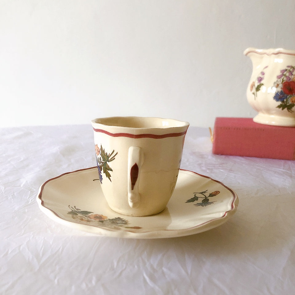 ディゴワンサルグミンヌ Digoin＆sarreguemines アグレスト コーヒーカップ＆ソーサー２客セット フランスアンティーク食器 フランス蚤の市・ブロカント