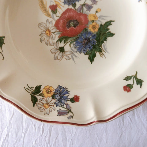 ディゴワンサルグミンヌ Digoin＆sarreguemines アグレスト 深皿 クルーズプレート 23㎝ フランスアンティーク食器 フランス蚤の市・ブロカント