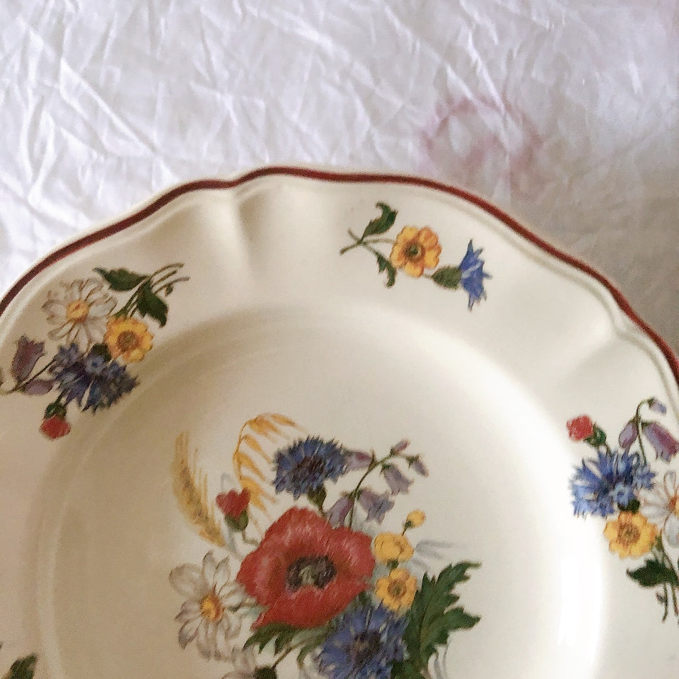 ディゴワンサルグミンヌ Digoin＆sarreguemines アグレスト 深皿 クルーズプレート 23㎝ フランスアンティーク食器 フランス蚤の市・ブロカント