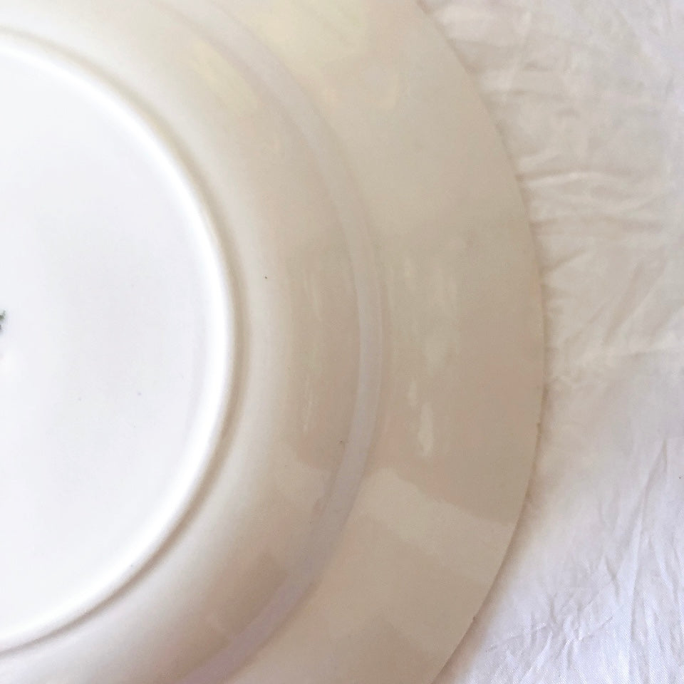 サンタマン　Saint amand バスク柄スーププレート、クルーズプレート フランスアンティーク食器 ブロカント 蚤の市