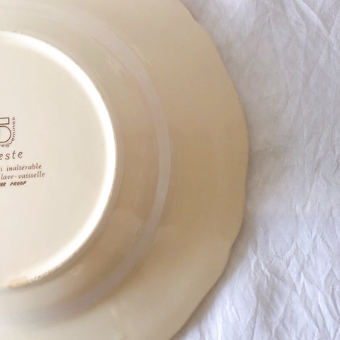 ディゴワンサルグミンヌ Digoin＆sarreguemines アグレスト 深皿 クルーズプレート 23㎝ フランスアンティーク食器 フランス蚤の市・ブロカント