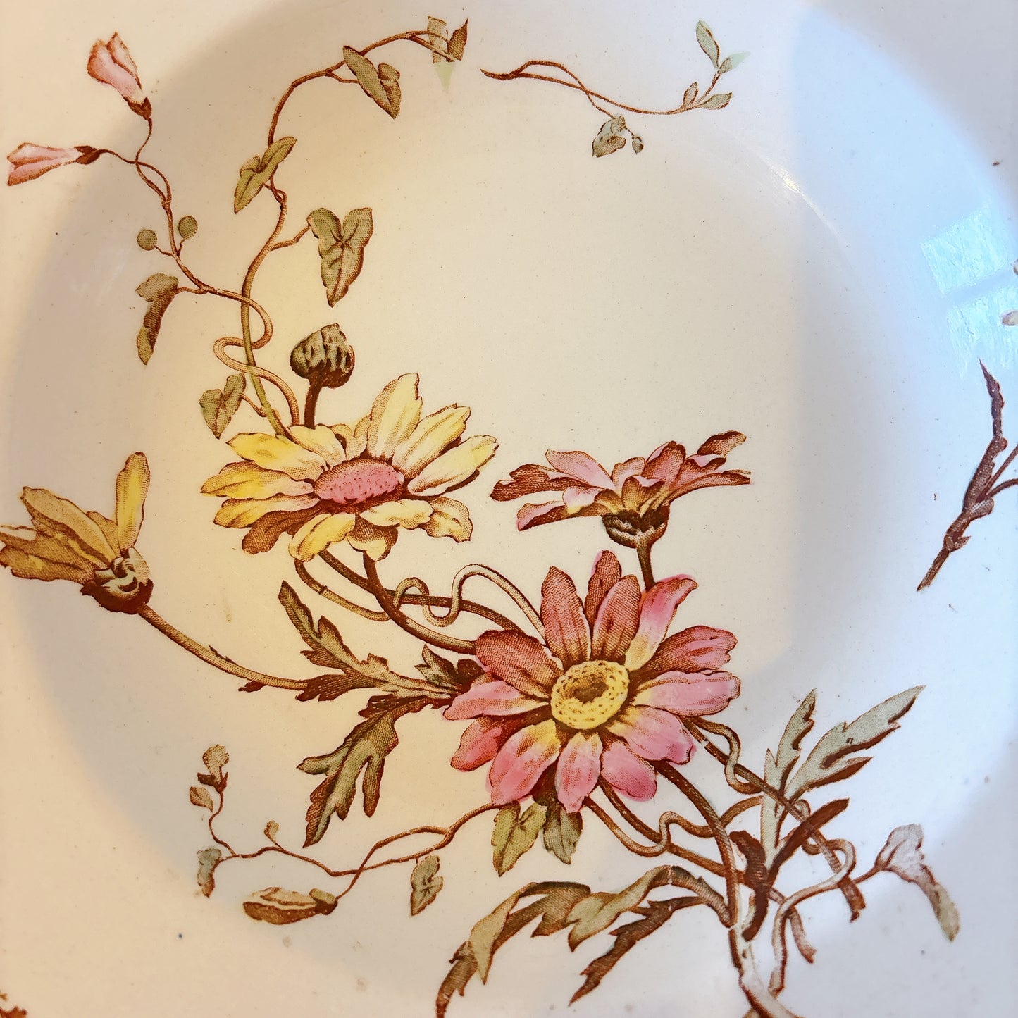 リュネヴィル  マーガレット MARGUERITE スーププレート フランスアンティーク食器　蚤の市　ブロカント