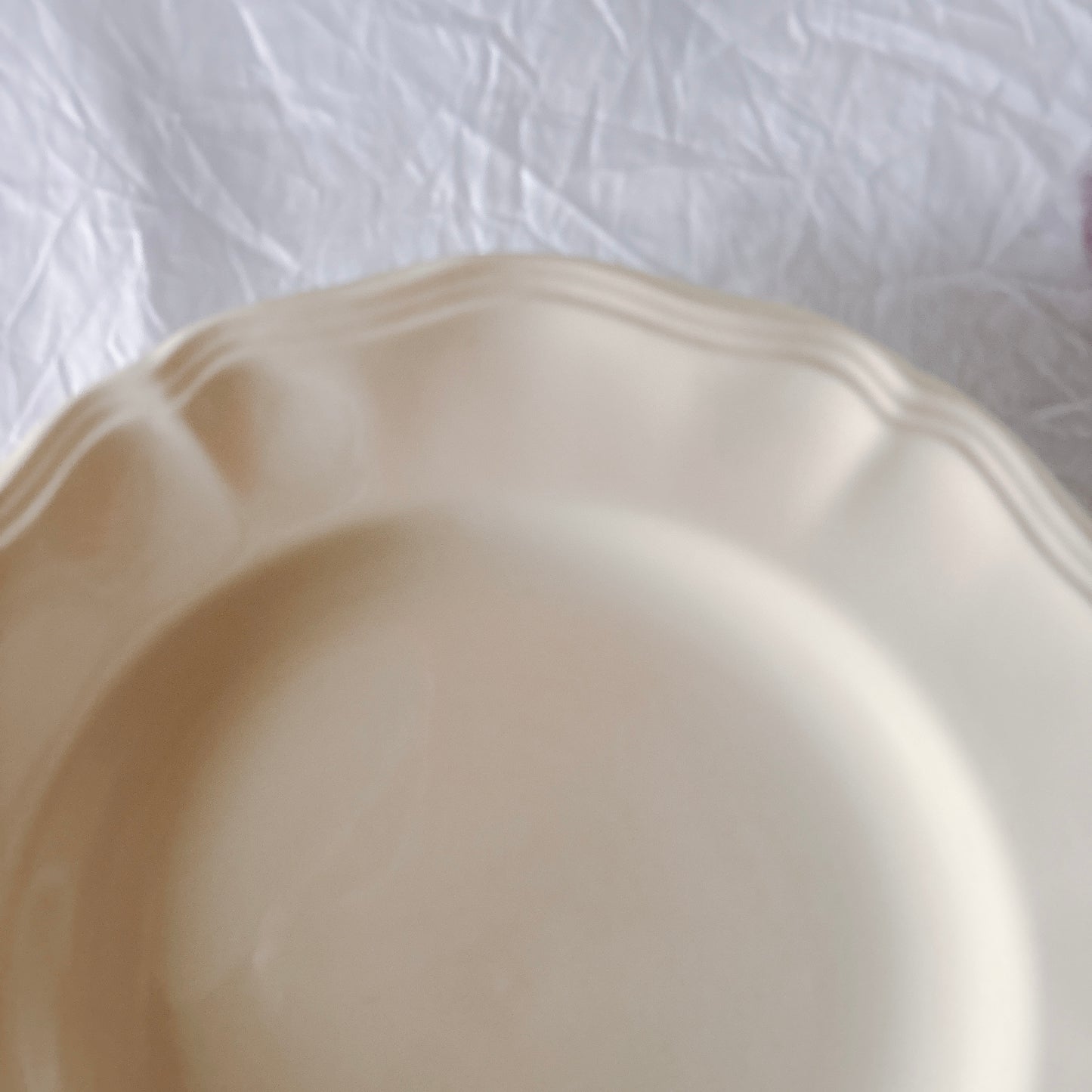 フランス ディゴワン＆サルグミンヌ 花リム ディナープレート 平皿 フランスアンティーク食器 ブロカント　蚤の市