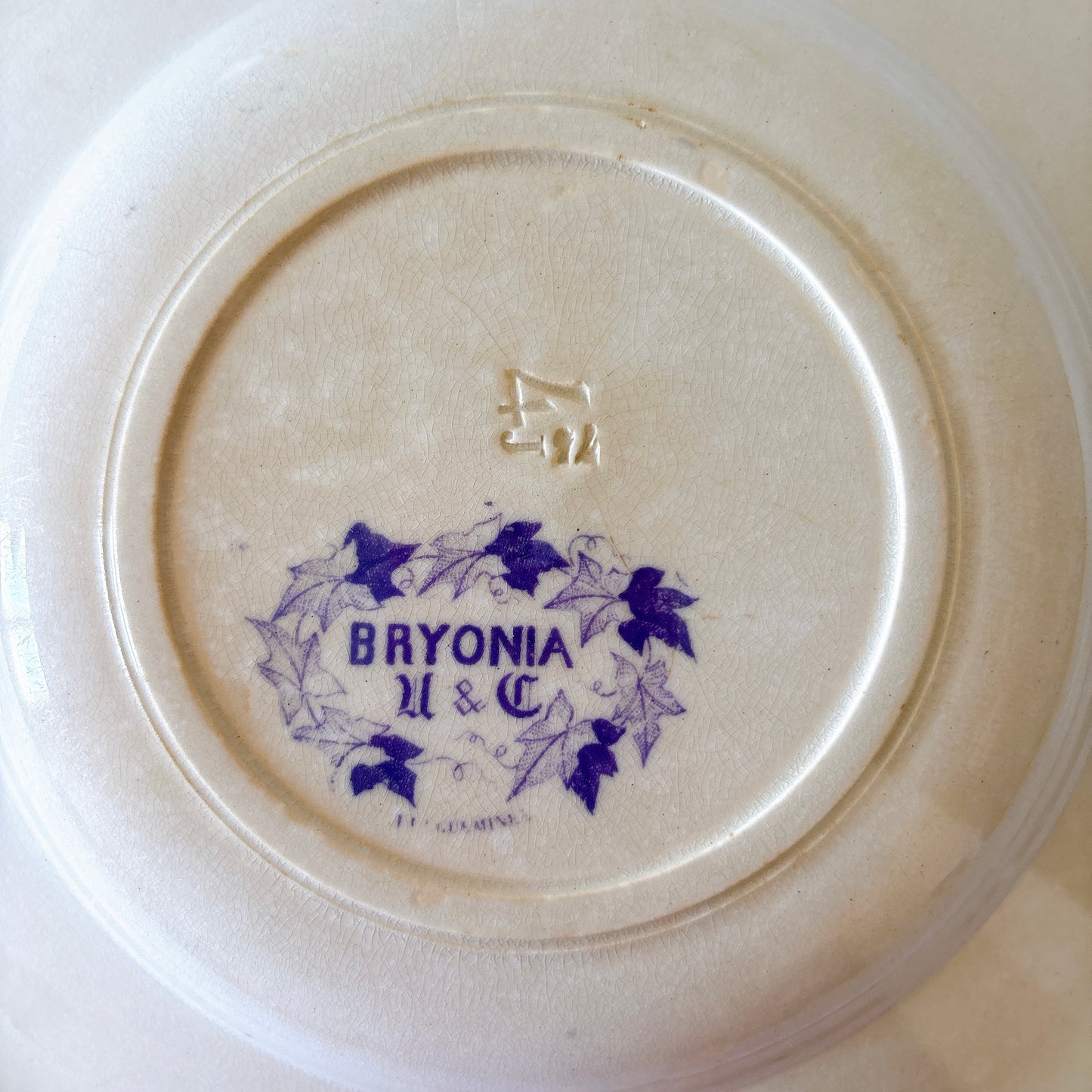 フランスアンティーク U&Cサルグミンヌ Bryonia ブリオニア スーププレート　ブロカント　蚤の市