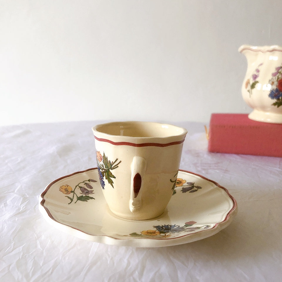 ディゴワンサルグミンヌ Digoin＆sarreguemines アグレスト コーヒーカップ＆ソーサー２客セット フランスアンティーク食器 フランス蚤の市・ブロカント